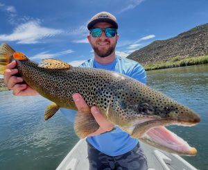 468960352 18378192325106129 1818824200113626533 n