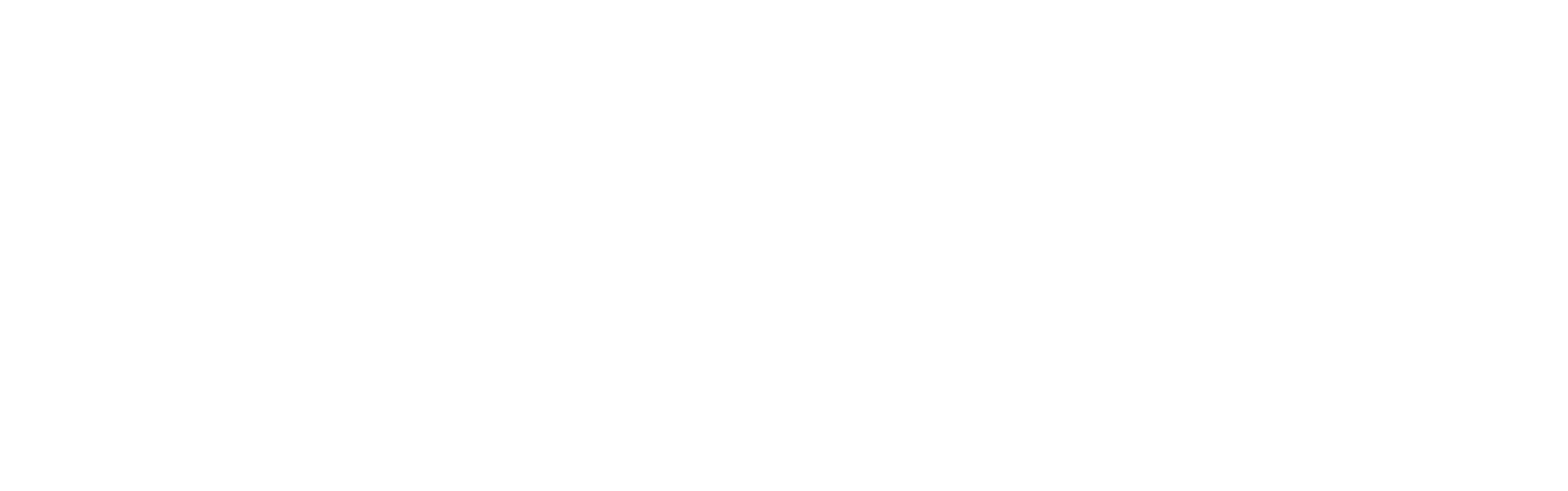 San Juan River Orvis Guides