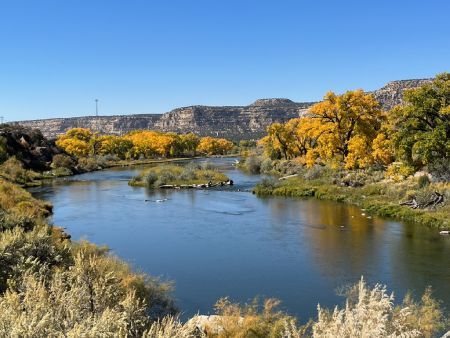 The bait section san juan river