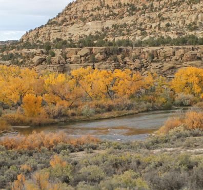 Fall scener san juan river