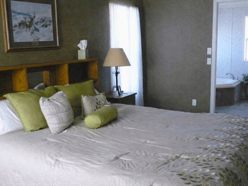 chucksGreenBed_Straight_Colorized-Cropped ChucksGreenBed Straight Colorized Cropped