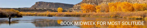 san-juan-river-fly-fishing-trip