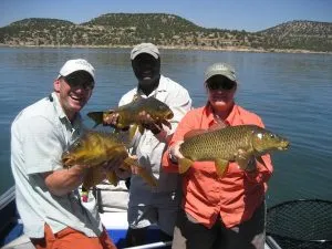 Carp Fly Fishing Guides