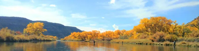 San juan river fly fishing 785