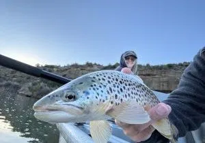 IMG_9632 Carpenter Teresa